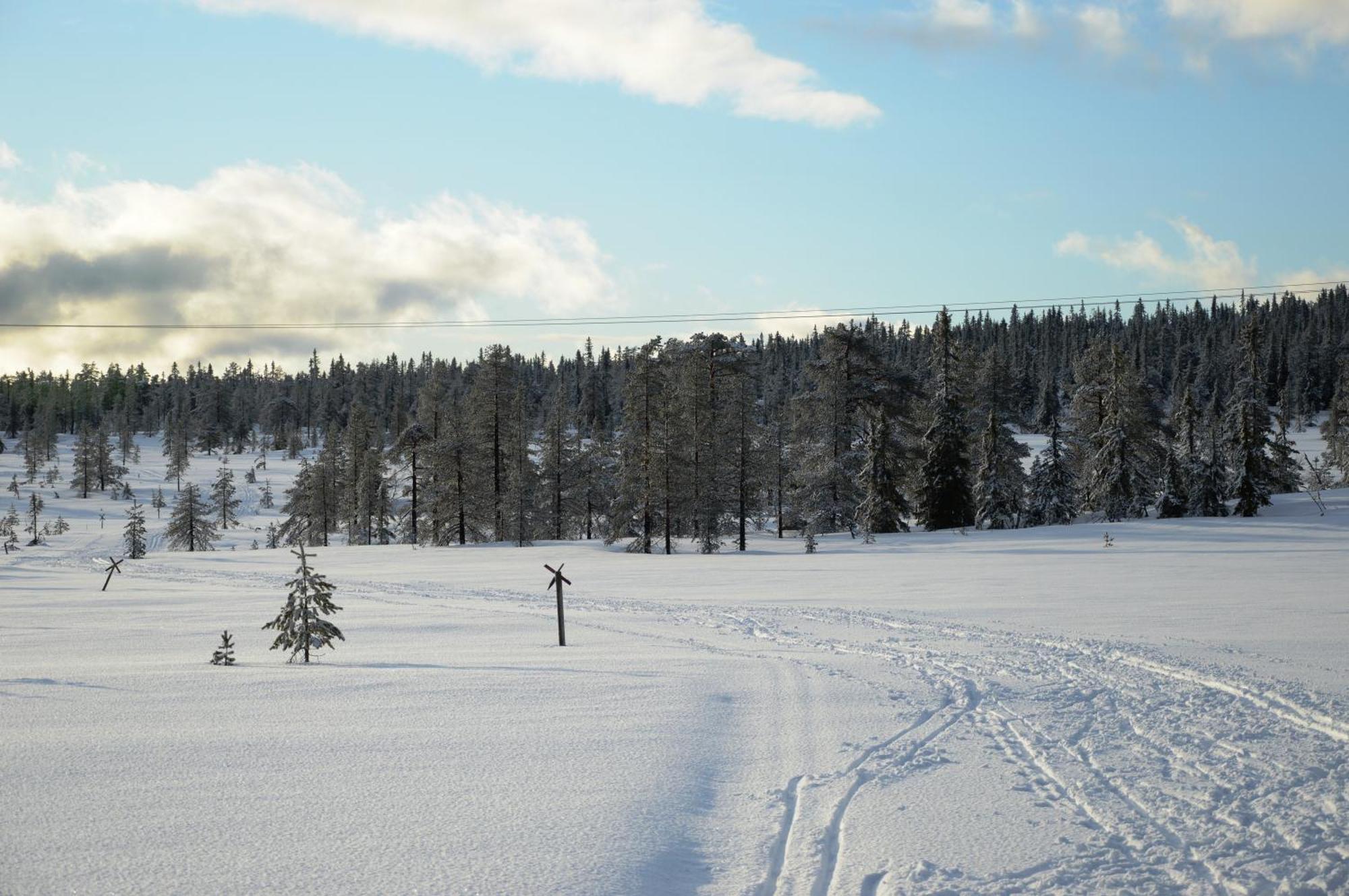 Hytte Anno 1721 Uten Internett, Strom, Vann - Men Med Rodmalt Utedo Ljordal Екстер'єр фото