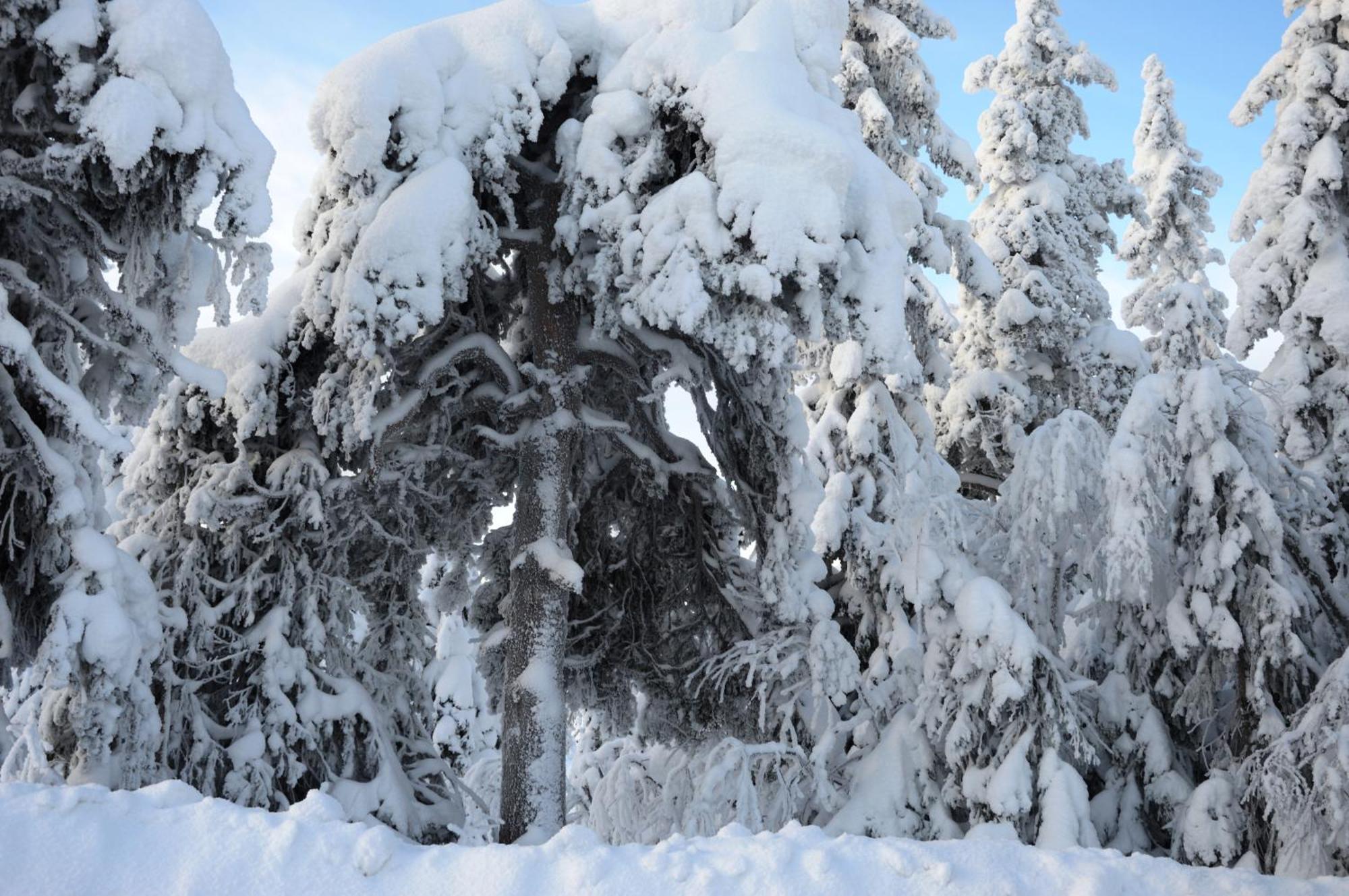 Hytte Anno 1721 Uten Internett, Strom, Vann - Men Med Rodmalt Utedo Ljordal Екстер'єр фото