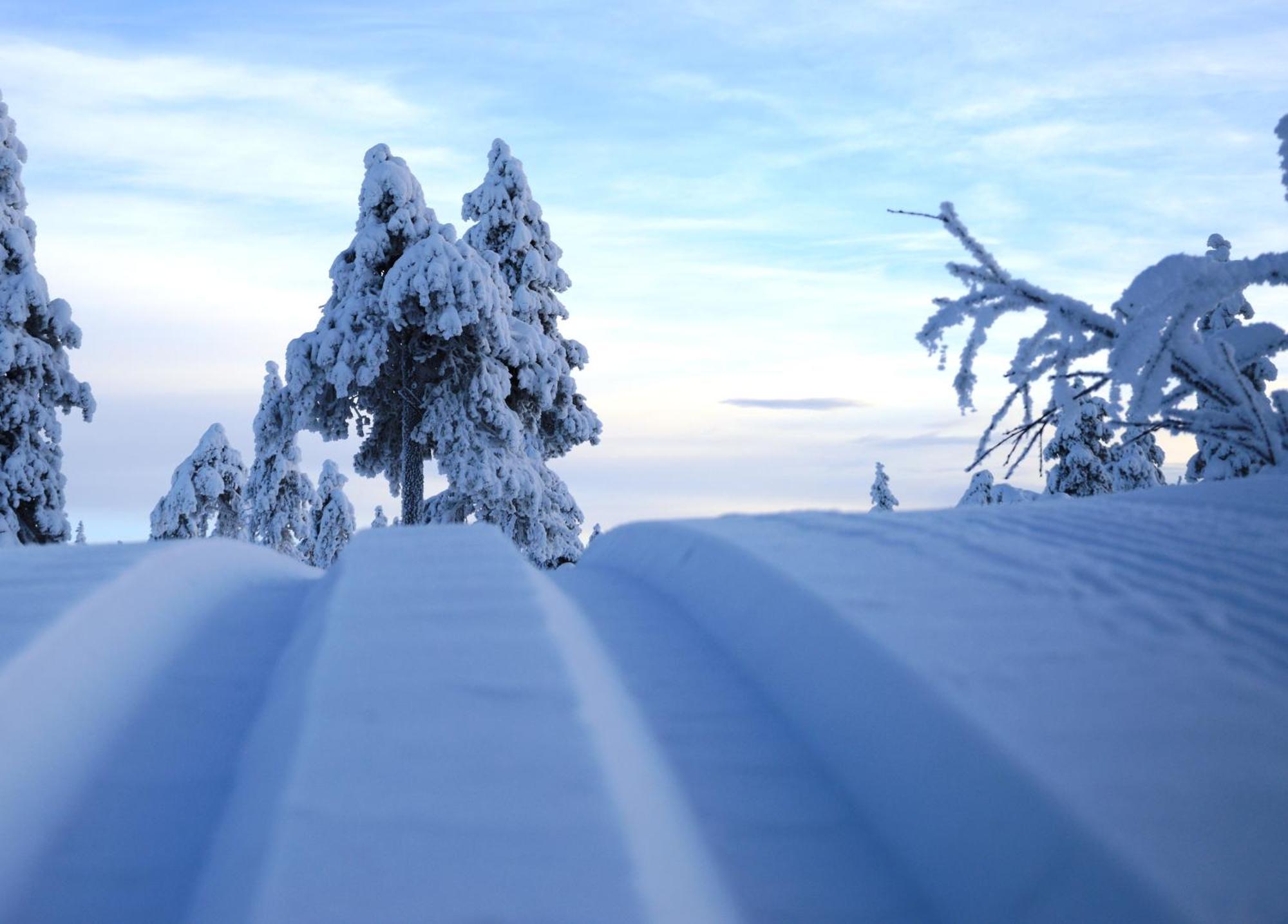 Hytte Anno 1721 Uten Internett, Strom, Vann - Men Med Rodmalt Utedo Ljordal Екстер'єр фото