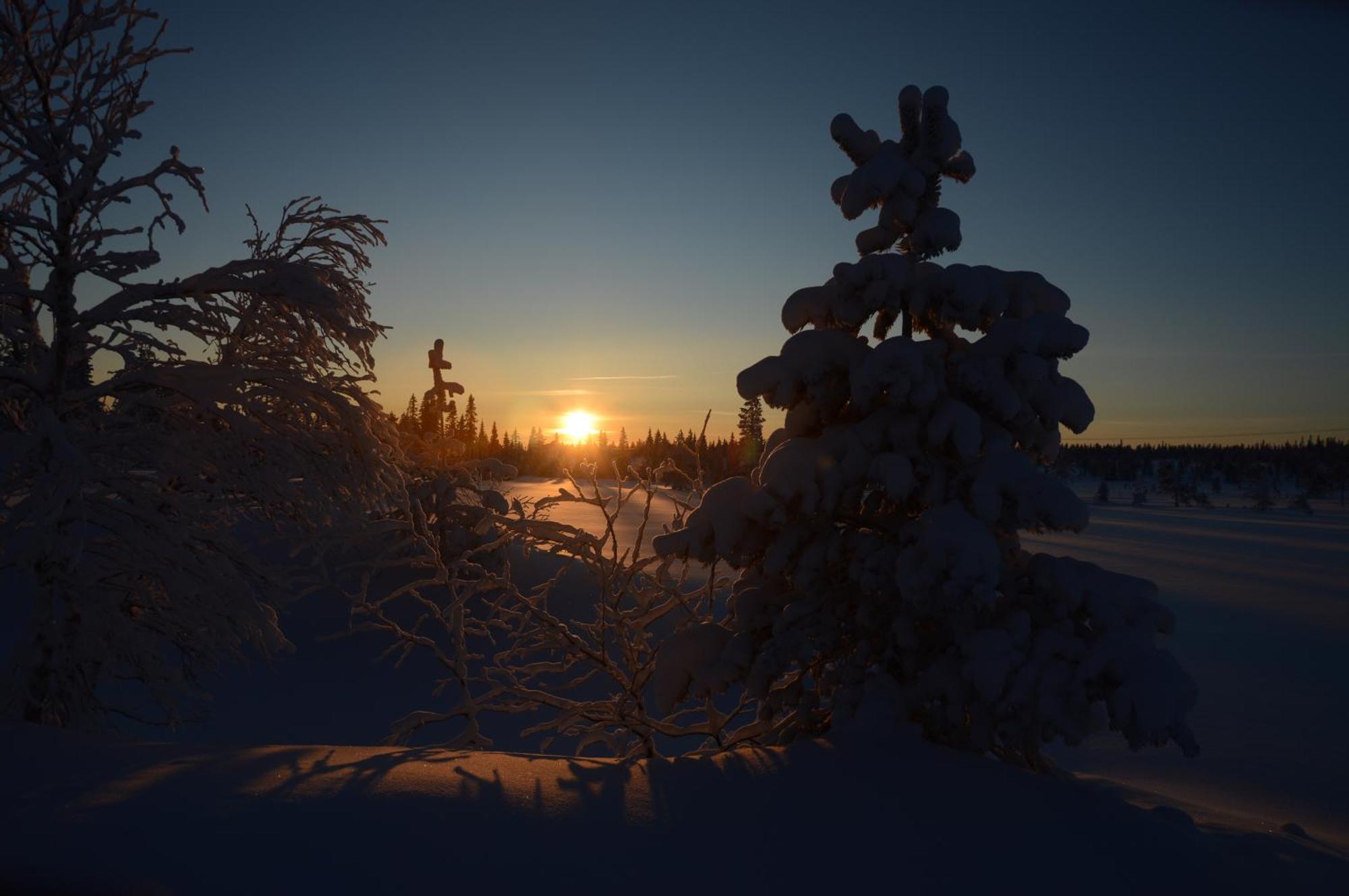 Hytte Anno 1721 Uten Internett, Strom, Vann - Men Med Rodmalt Utedo Ljordal Екстер'єр фото
