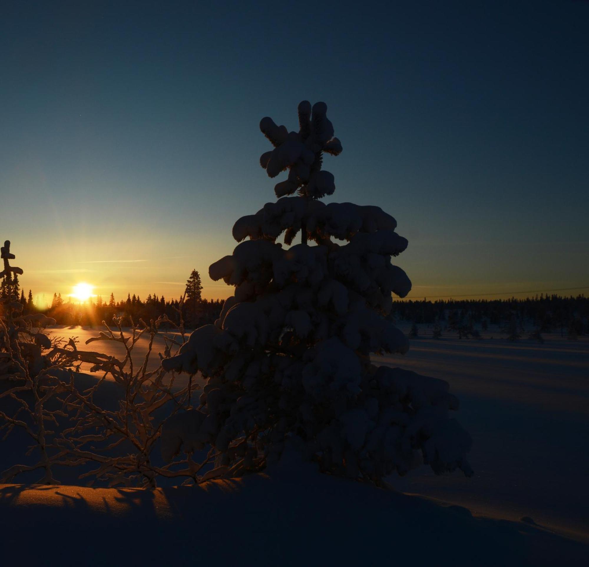 Hytte Anno 1721 Uten Internett, Strom, Vann - Men Med Rodmalt Utedo Ljordal Екстер'єр фото