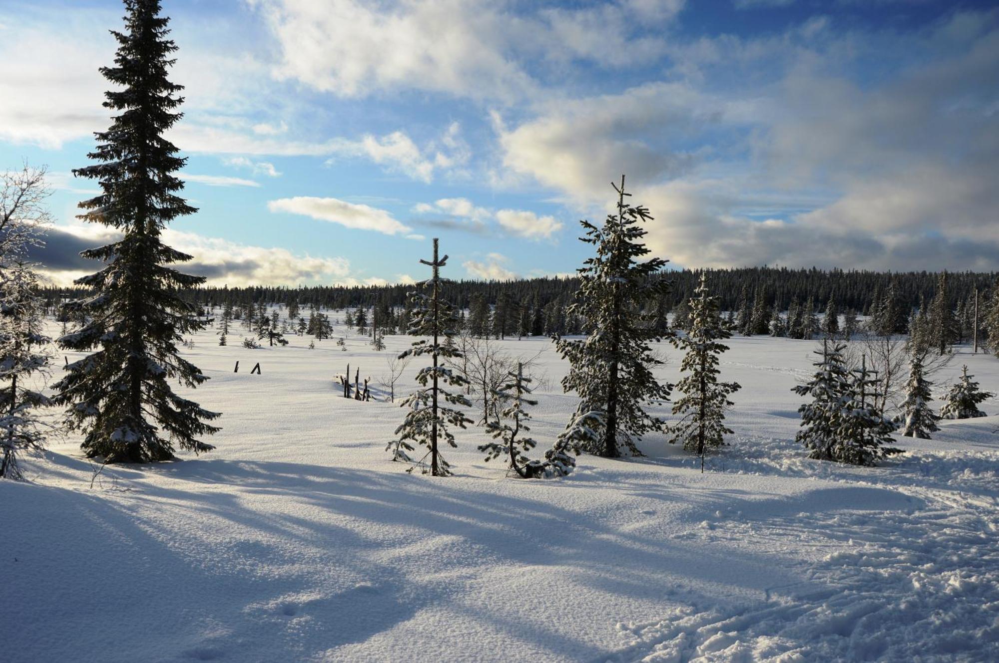 Hytte Anno 1721 Uten Internett, Strom, Vann - Men Med Rodmalt Utedo Ljordal Екстер'єр фото