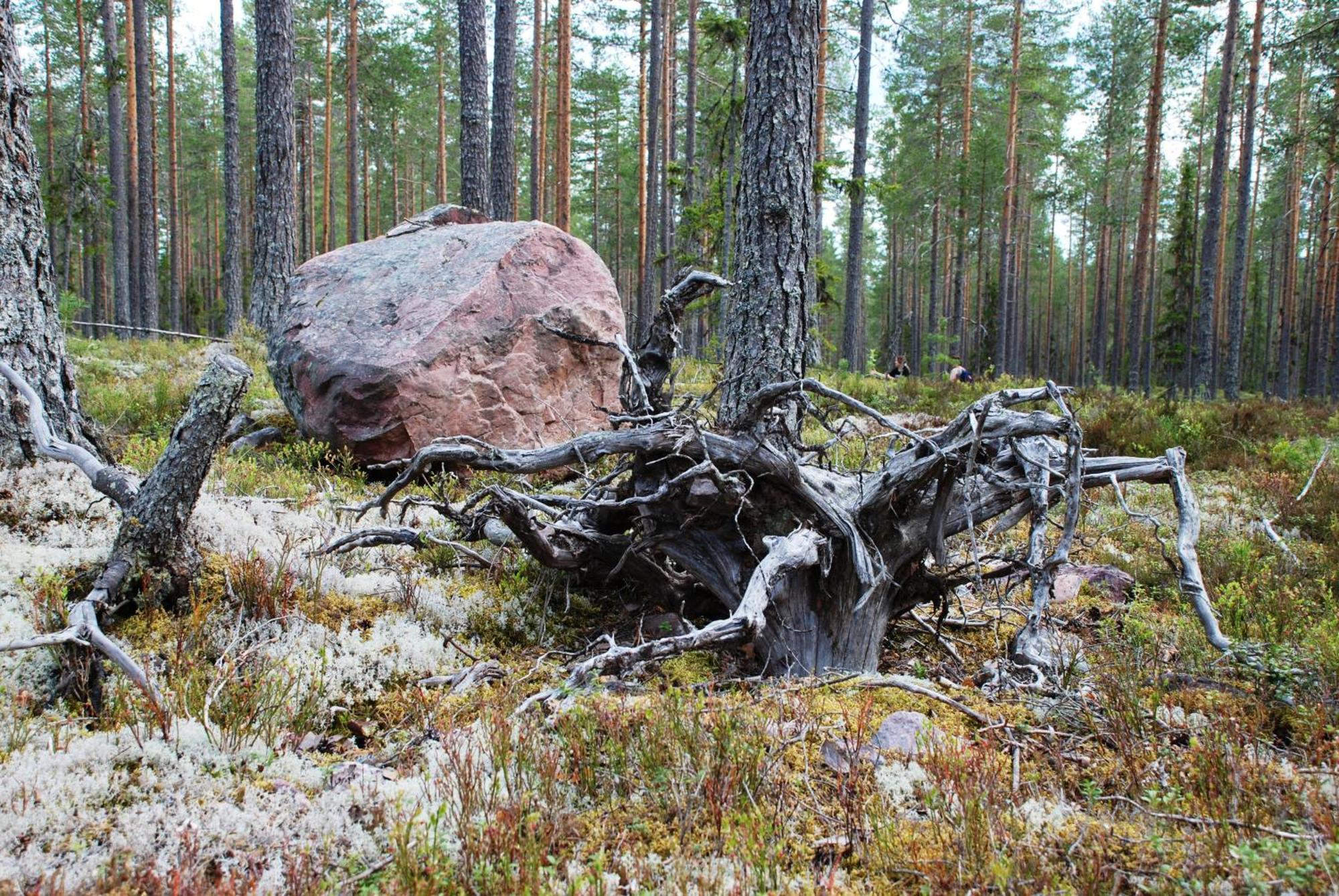 Hytte Anno 1721 Uten Internett, Strom, Vann - Men Med Rodmalt Utedo Ljordal Екстер'єр фото