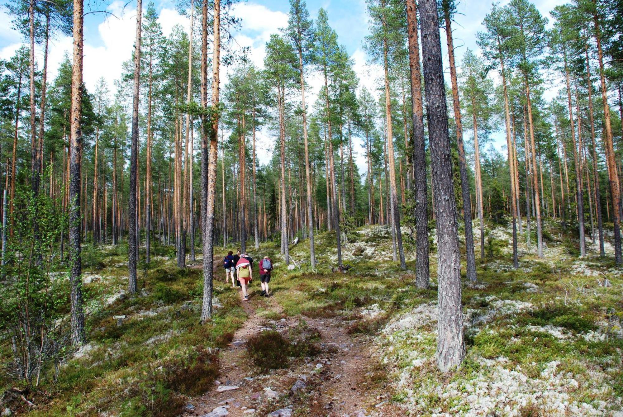 Hytte Anno 1721 Uten Internett, Strom, Vann - Men Med Rodmalt Utedo Ljordal Екстер'єр фото