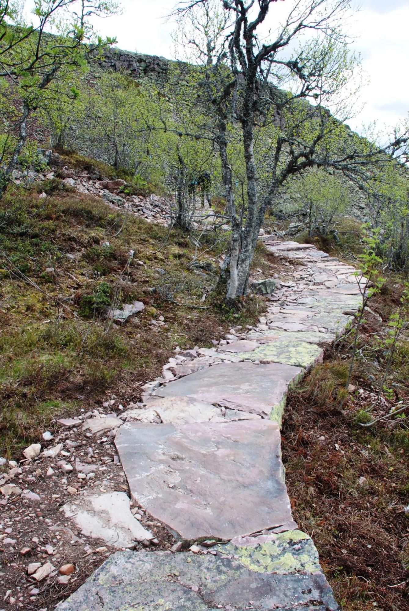 Hytte Anno 1721 Uten Internett, Strom, Vann - Men Med Rodmalt Utedo Ljordal Екстер'єр фото
