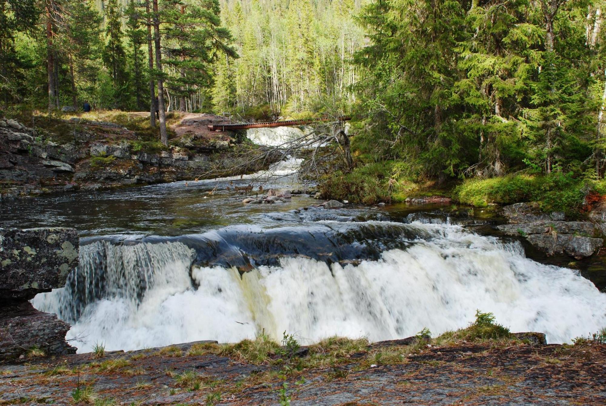 Hytte Anno 1721 Uten Internett, Strom, Vann - Men Med Rodmalt Utedo Ljordal Екстер'єр фото