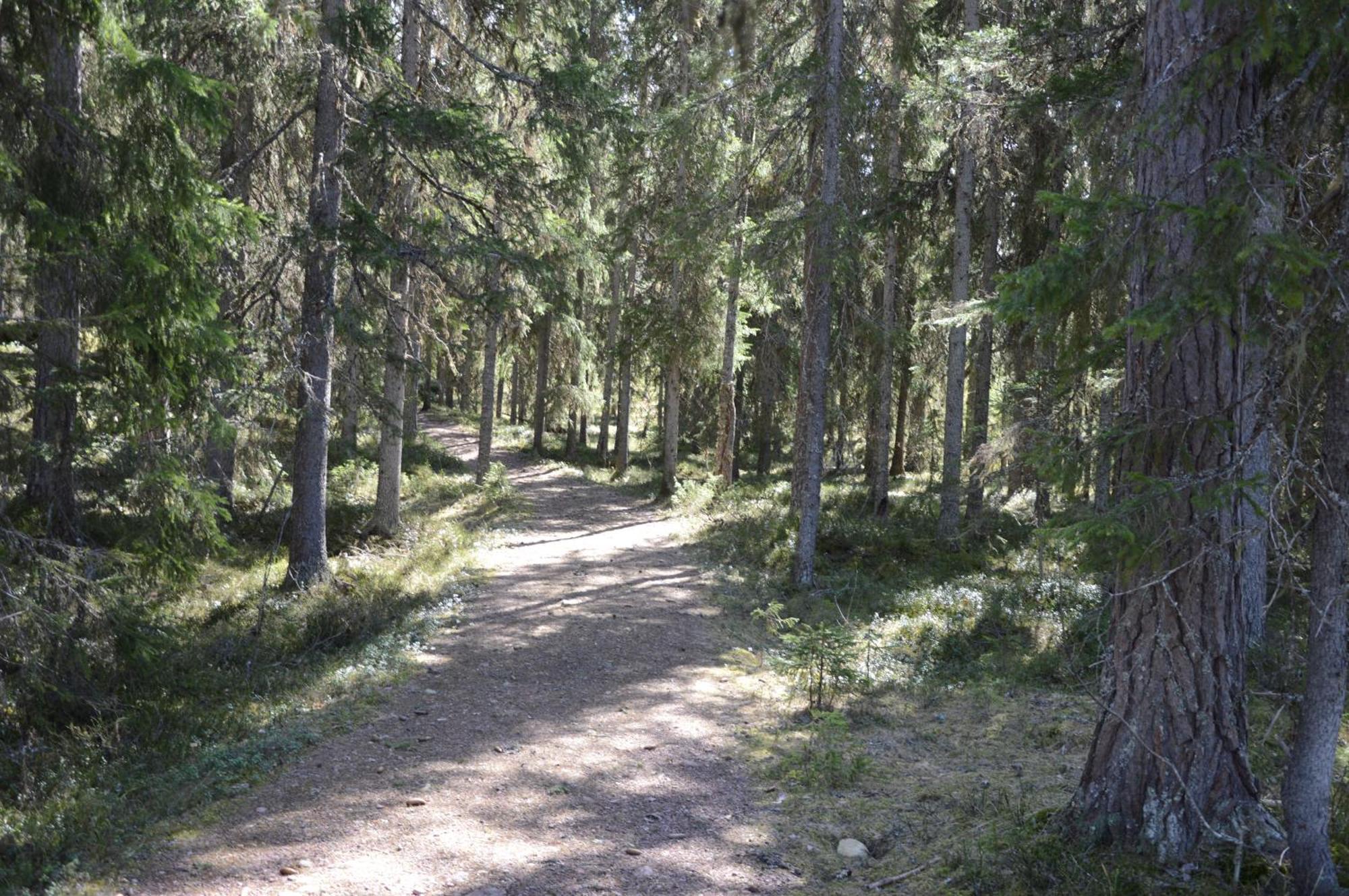Hytte Anno 1721 Uten Internett, Strom, Vann - Men Med Rodmalt Utedo Ljordal Екстер'єр фото